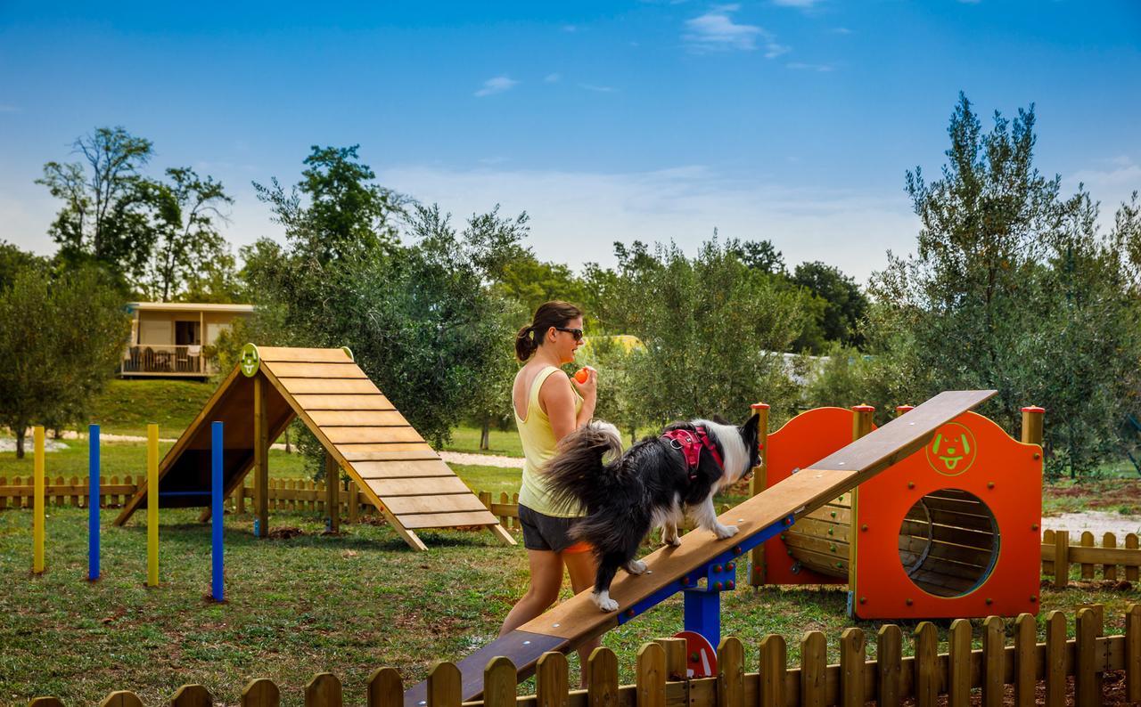 Aminess Maravea Camping Resort Holiday Homes Novigrad  Exterior photo